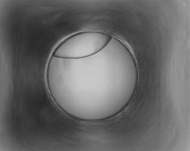 X0000102401344200808010947