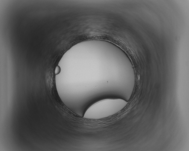 X0000102401348200808010946