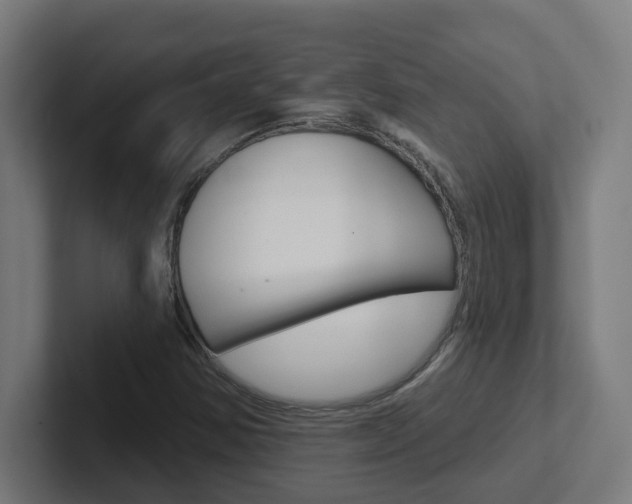 X0000102401354200808010946