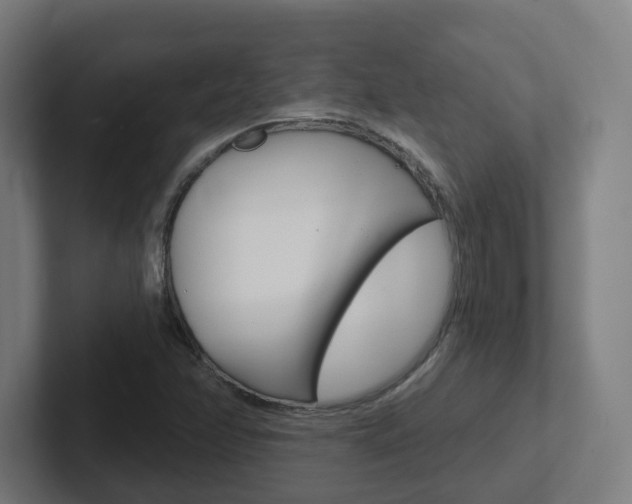 X0000102401358200808010946