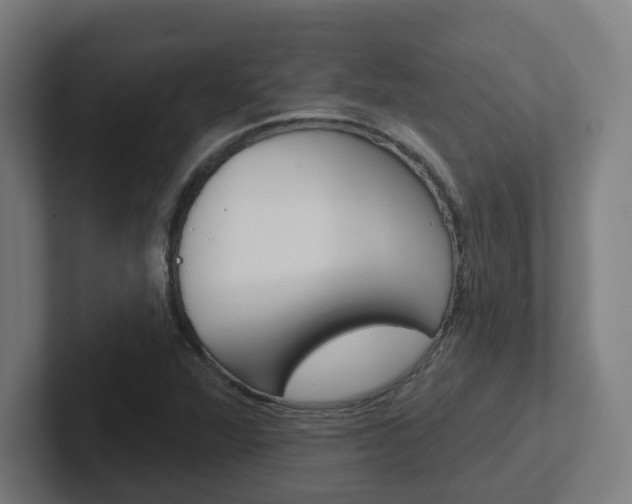 X0000102401360200808010946