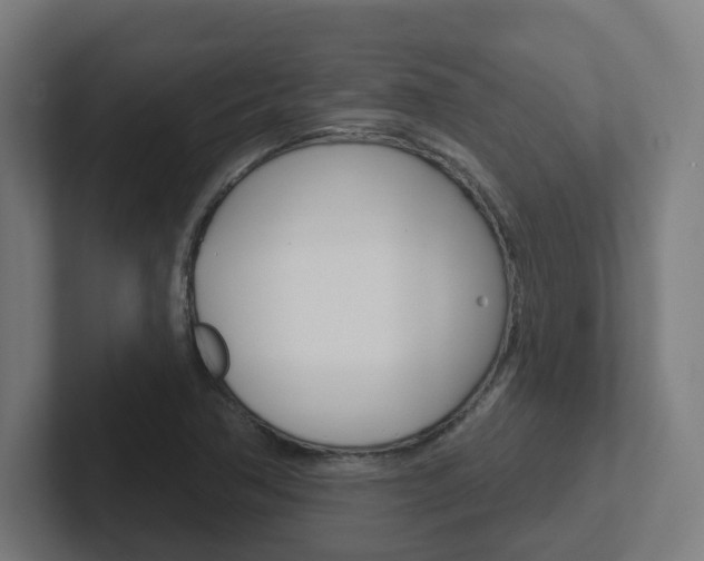 X0000102401362200808010946