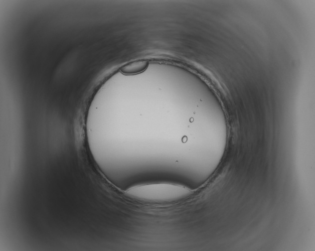 X0000102401363200808010946