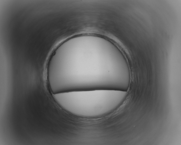 X0000102401366200808010946