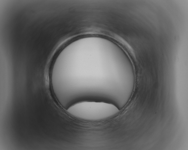 X0000102401368200808010946