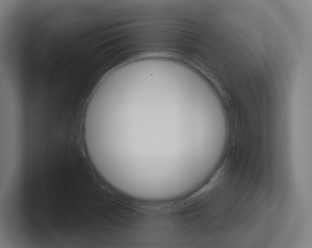 X0000102401369200808010946