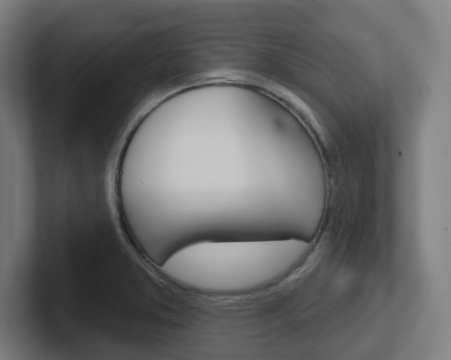X0000102401373200808010946