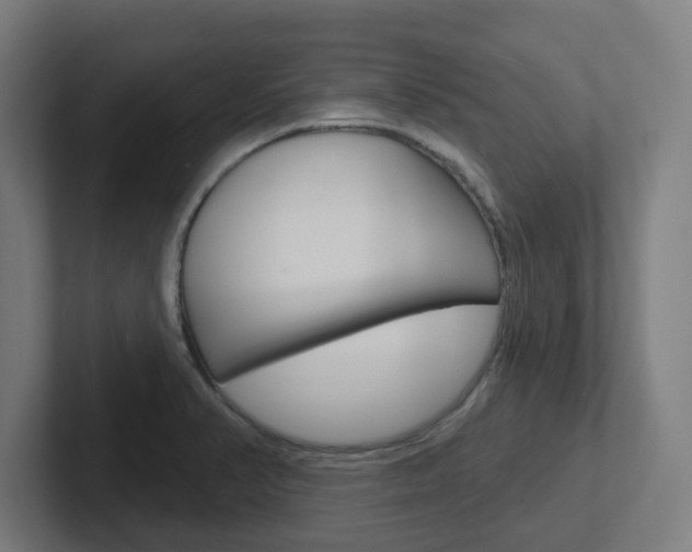 X0000102401374200808010946