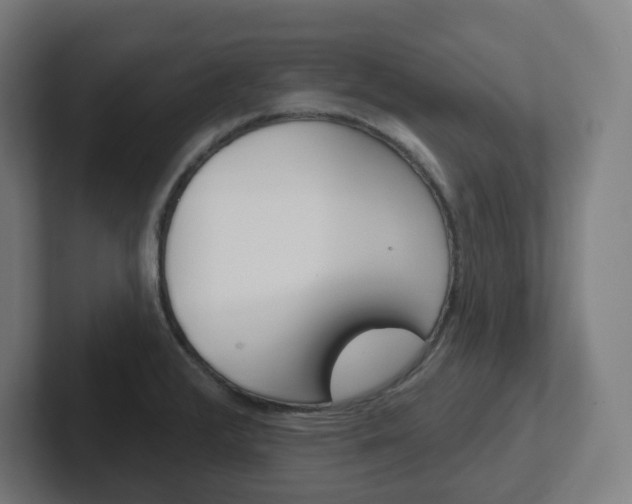 X0000102401376200808010946