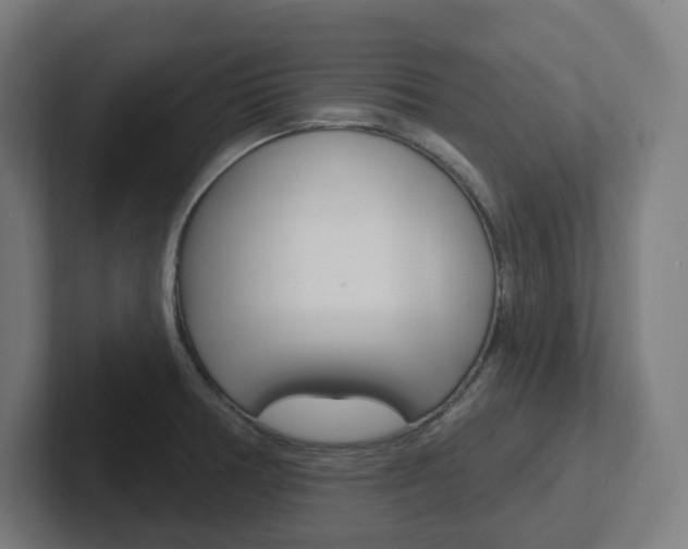 X0000102401378200808010946