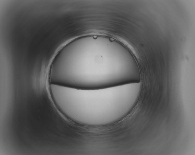 X0000102401379200808010946