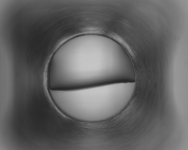 X0000102401383200808010946