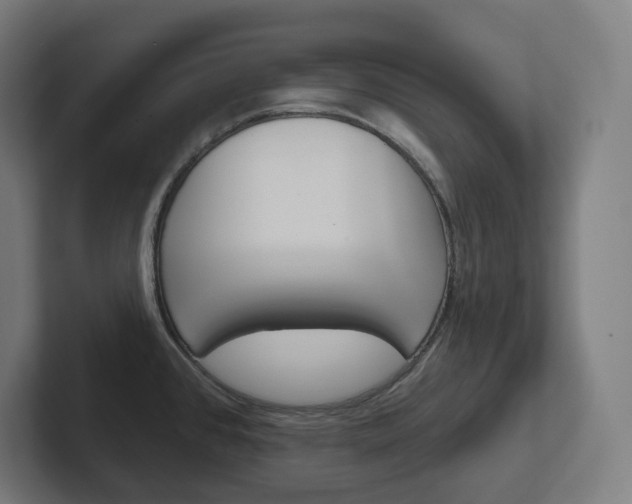 X0000102401384200808010946