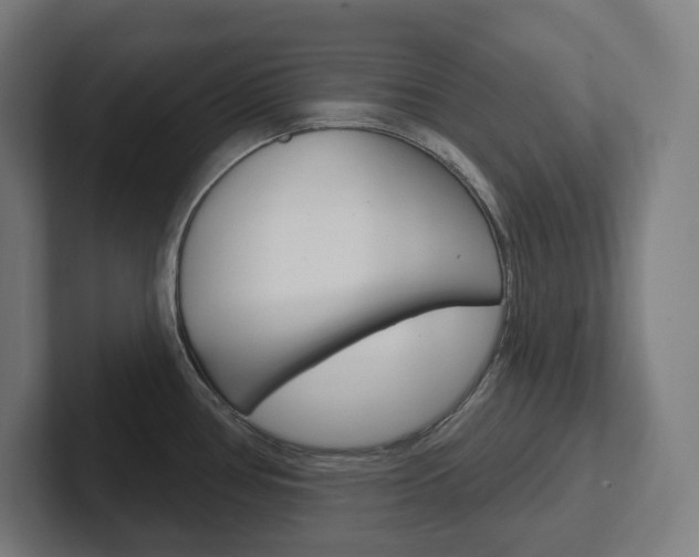 X0000102401386200808010946