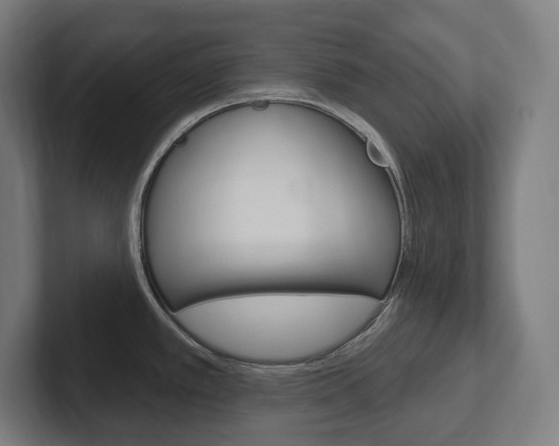 X0000102401389200808010946