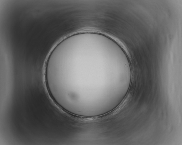 X0000102401390200808010946