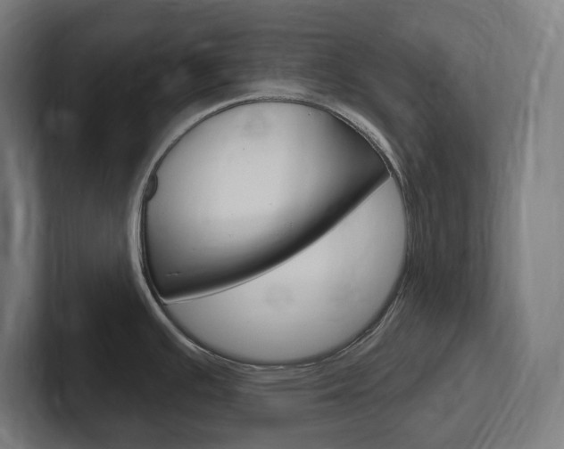 X0000102401391200808010946