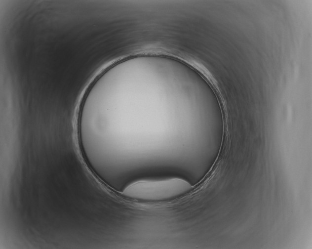 X0000102401392200808010946