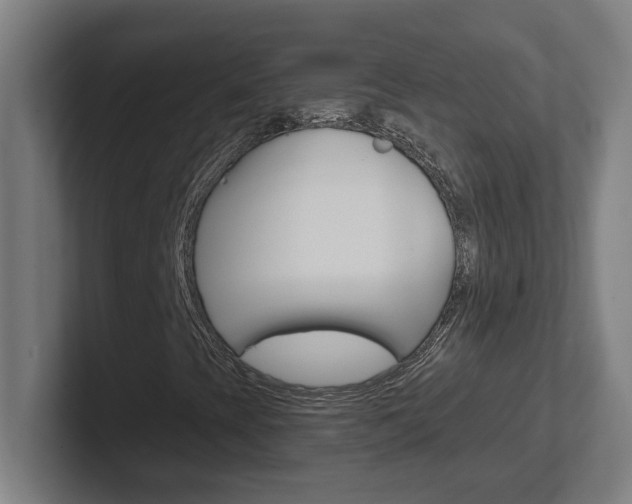 X0000102401393200808010945