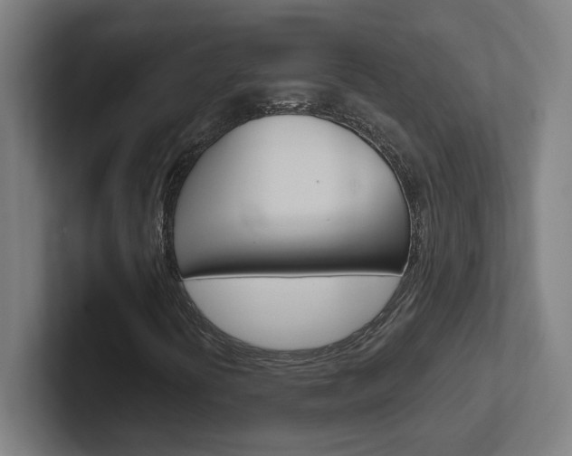 X0000102401394200808010945