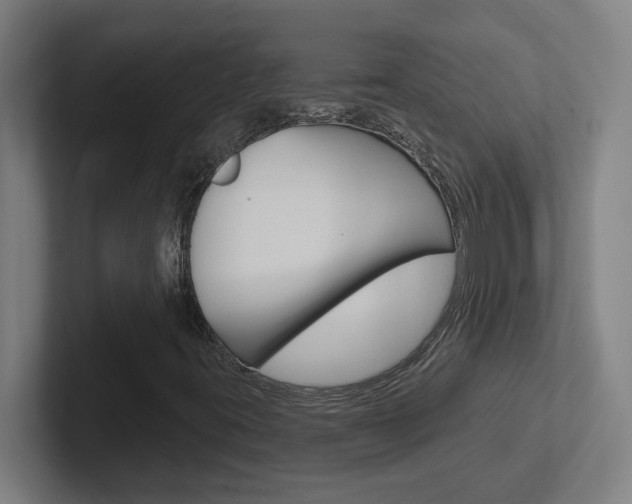 X0000102401395200808010945