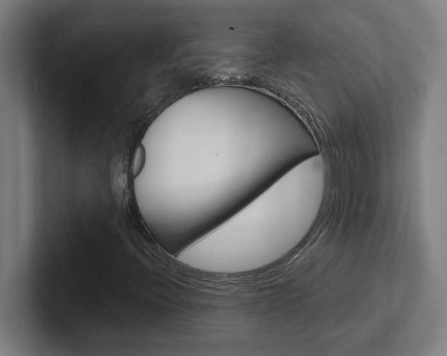 X0000102401396200808010945