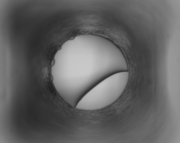 X0000102401397200808010945