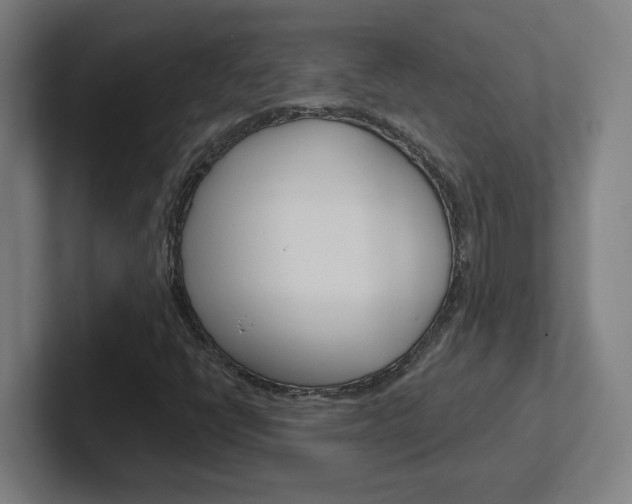 X0000102401398200808010945