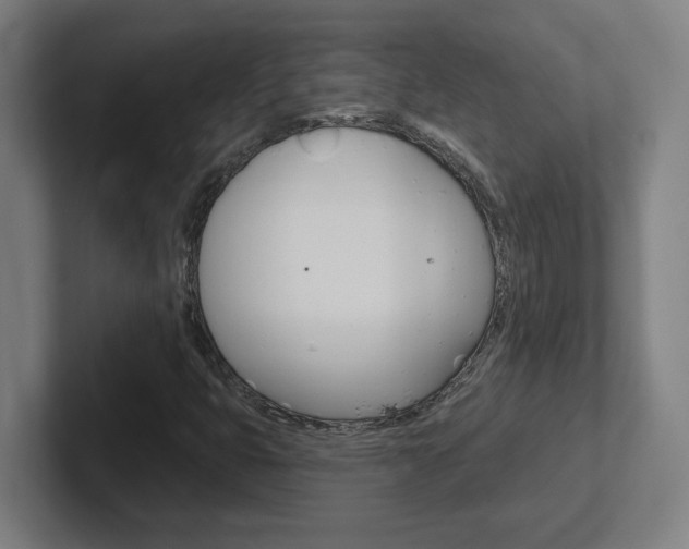 X0000102401399200808010945