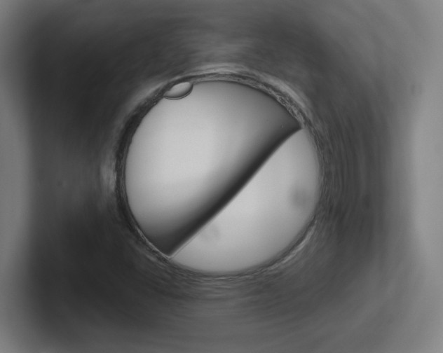 X0000102401406200808010945