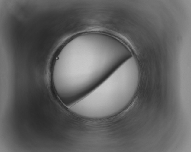 X0000102401414200808010945