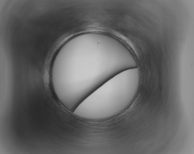 X0000102401415200808010945