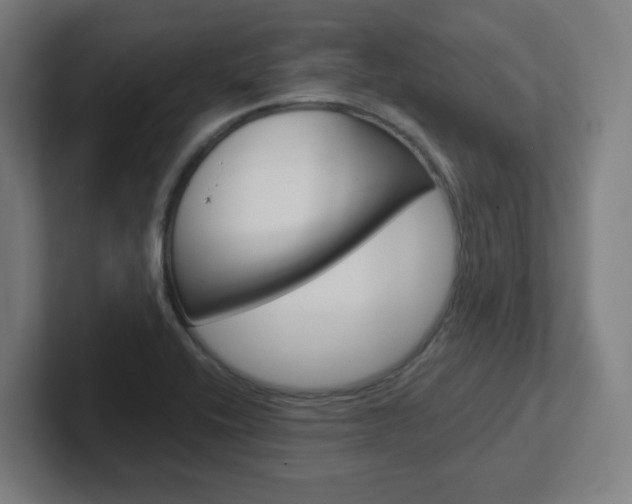 X0000102401416200808010945