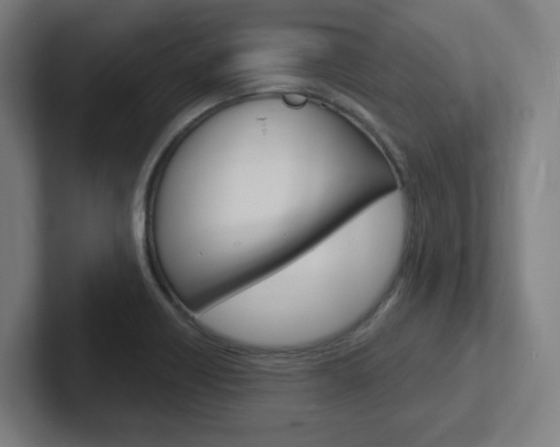 X0000102401418200808010945