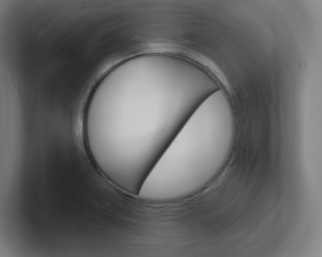 X0000102401419200808010945