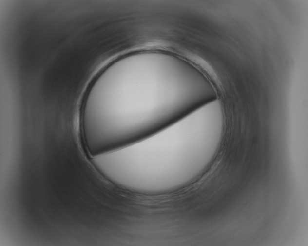 X0000102401420200808010945
