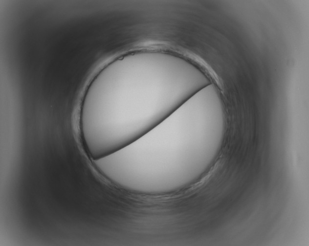 X0000102401421200808010945