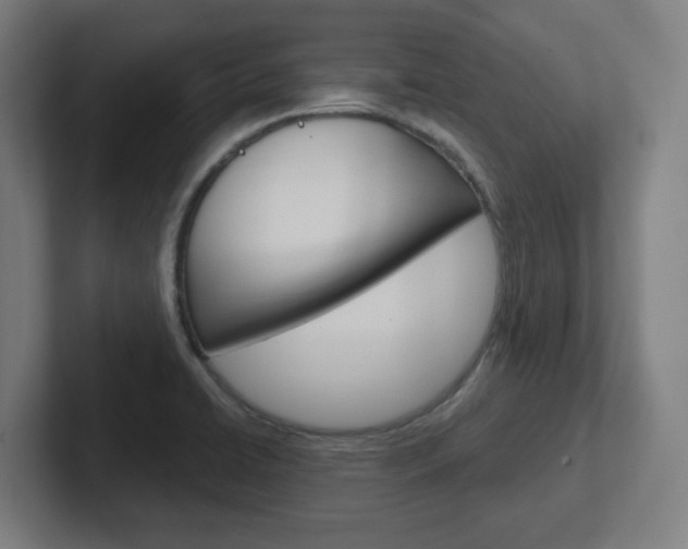 X0000102401422200808010945