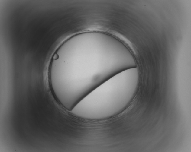X0000102401423200808010945