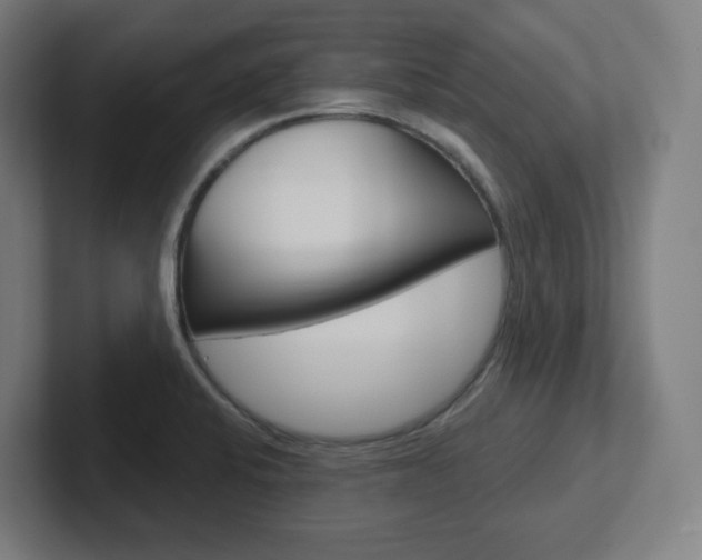 X0000102401424200808010945