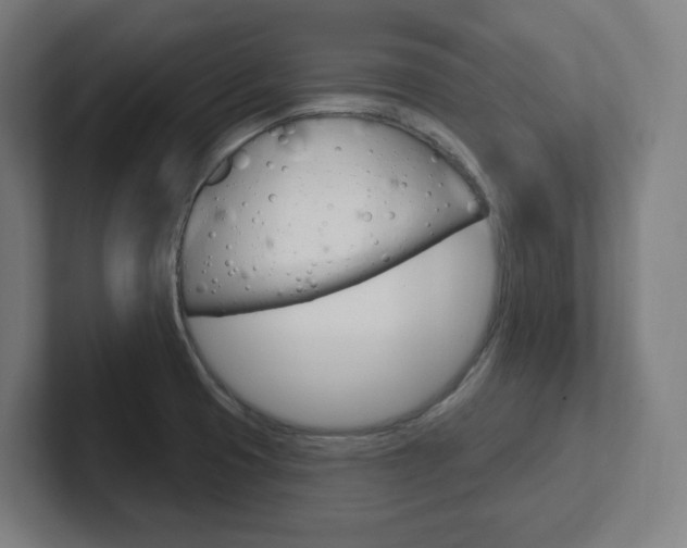 X0000102401425200808010945