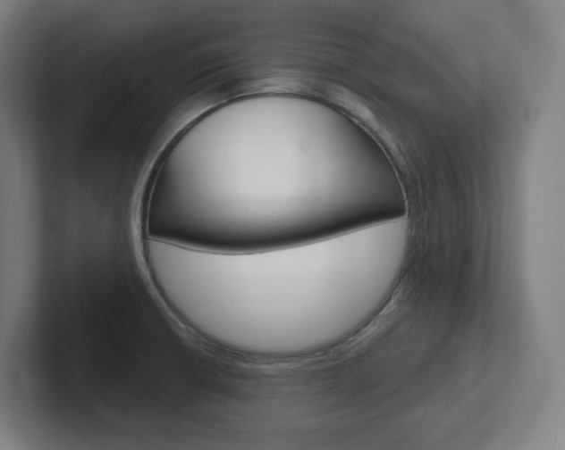 X0000102401426200808010945