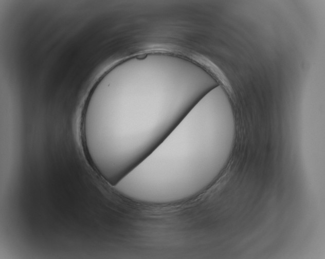 X0000102401427200808010945
