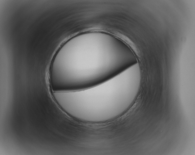 X0000102401428200808010946