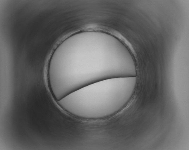 X0000102401429200808010946