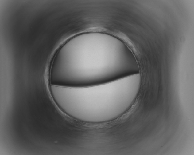 X0000102401430200808010946