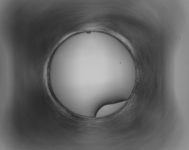 X0000102401431200808010946