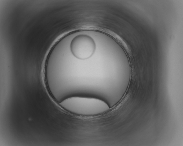 X0000102401432200808010946