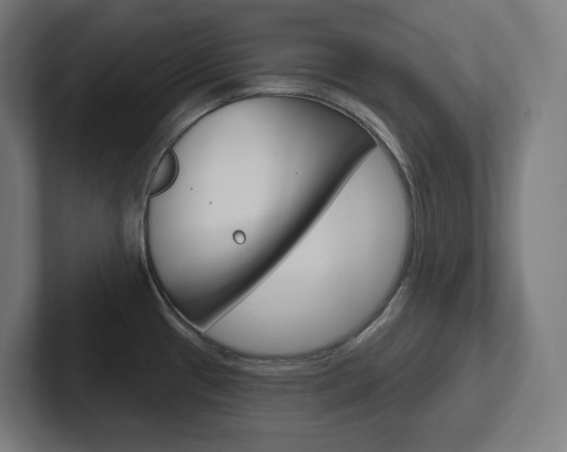 X0000102401433200808010946