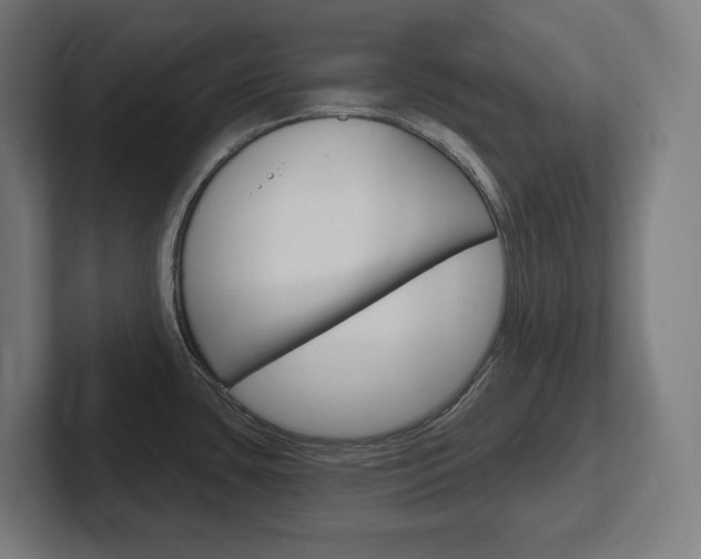 X0000102401435200808010946